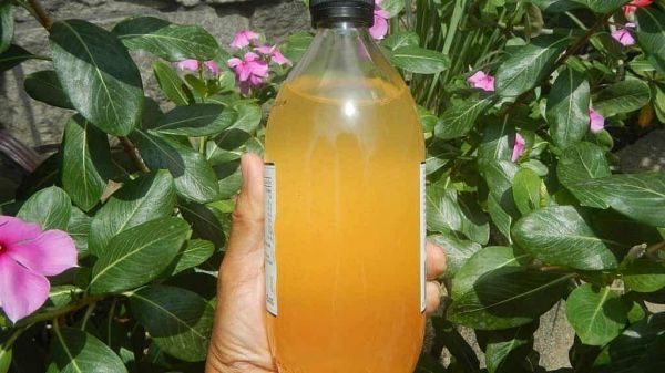 Apple cider vinegar.