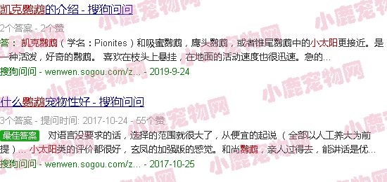 凯克鹦鹉和小太阳区别