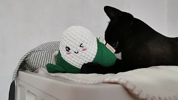 猫：你给我买个狗玩具逗我？