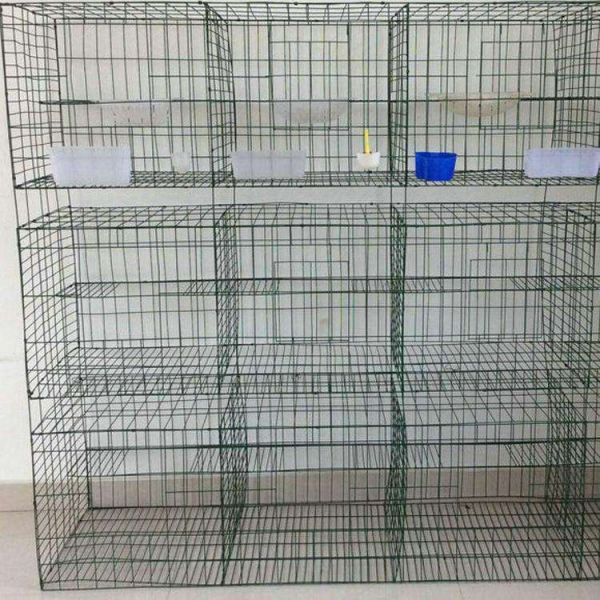 鸽子笼