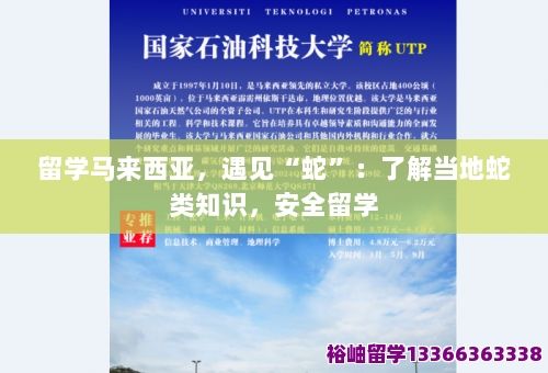 留学马来西亚，遇见“蛇”：了解当地蛇类知识，安全留学 第1张