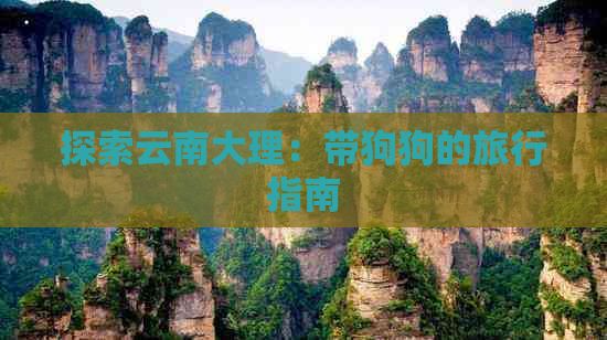探索云南大理：带狗狗的旅行指南