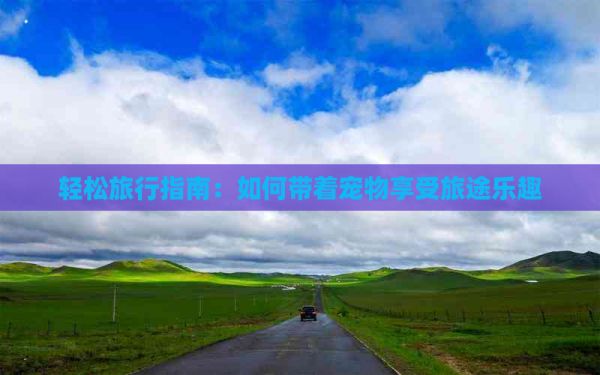 轻松旅行指南：如何带着宠物享受旅途乐趣