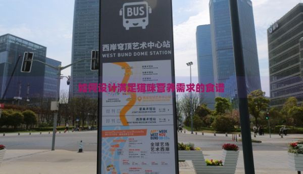 如何设计满足猫咪营养需求的食谱