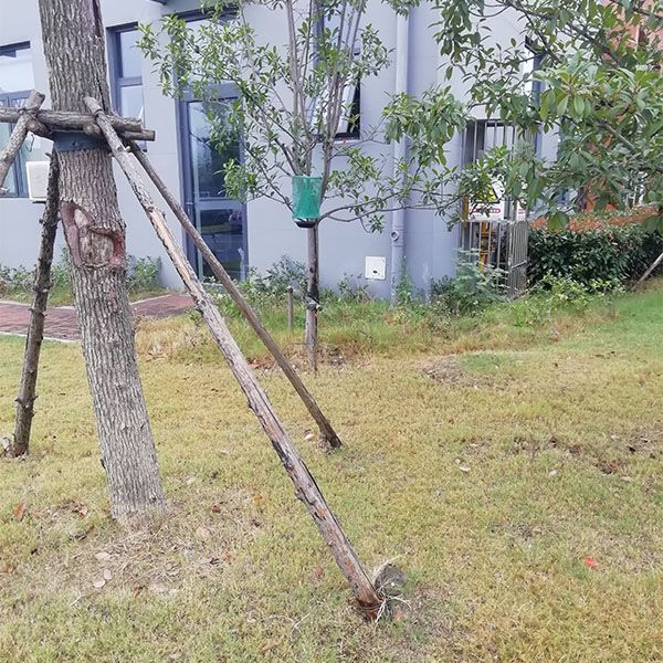 淮北单位除四害收费