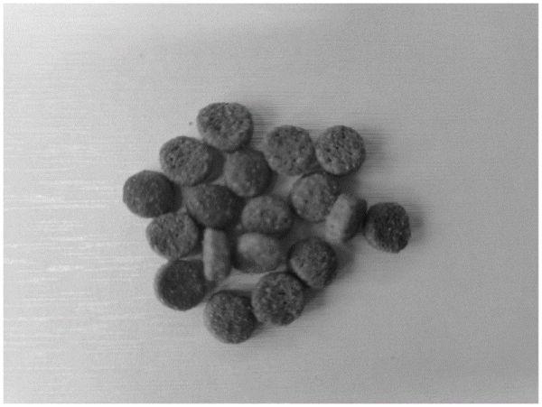 一种不添加淀粉的膨化宠物猫粮的制作方法