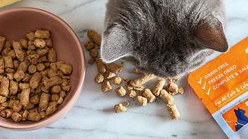 猫猫夏天胃口不好，感觉都瘦了，有什么好的办法调节吗？