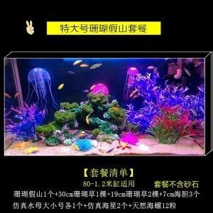大鱼缸怎么放石头好：如何选择和摆放鱼缸造景石？ 鱼缸百科 第3张