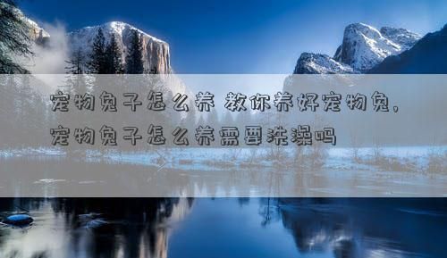 宠物兔子怎么养 教你养好宠物兔,宠物兔子怎么养需要洗澡吗