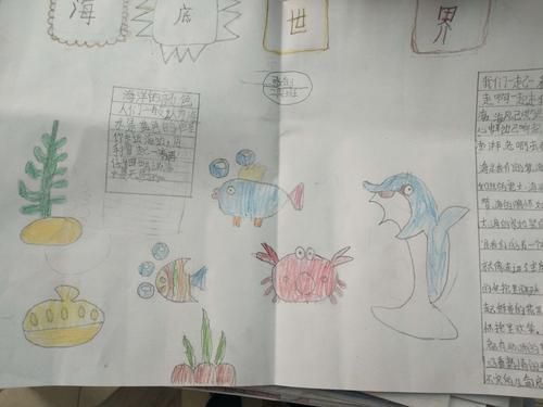 二年级烛光里的鱼手抄报二年级手抄报