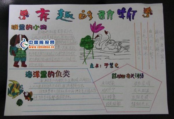 bp -花瓣网|陪你做生活的设计师 | 有趣的动物手抄报图片