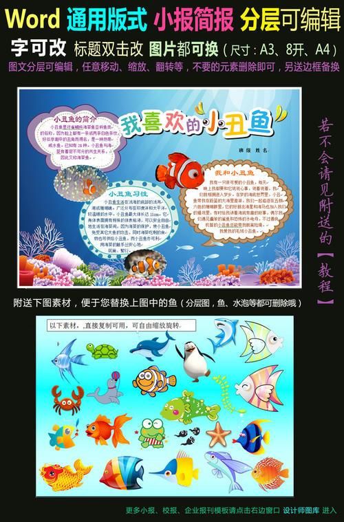 手抄报|小报 环保手抄报 爱护动植物手抄报 word电子小报模板海洋