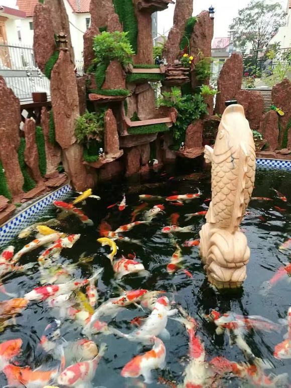 戳我试试