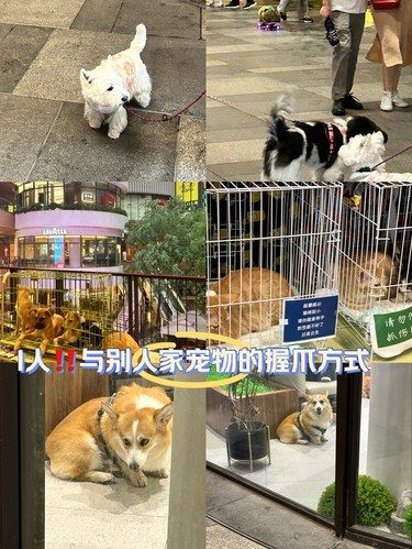 友好握爪计划｜I人‼️终于和[爱心]仪的握到爪