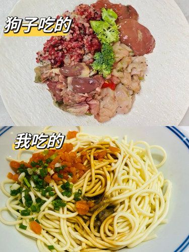 惊掉下巴！狗子吃的 vs 我吃的！