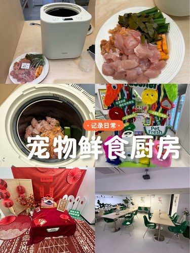 宠物鲜食厨房体验