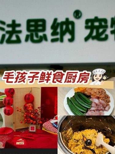 来给猫猫狗狗做饭呀～