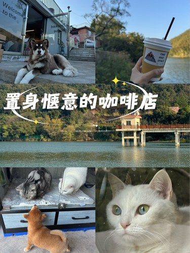 不小心坐了一下午☕️