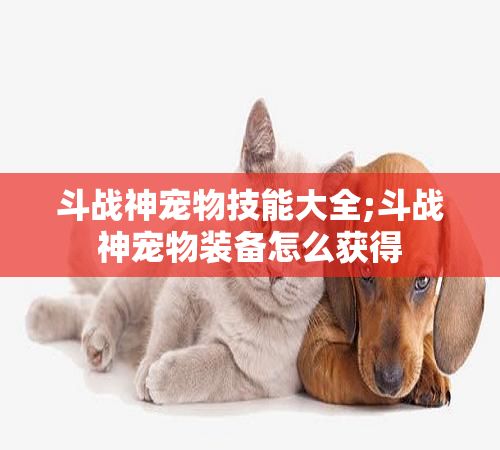 斗战神宠物技能大全;斗战神宠物装备怎么获得