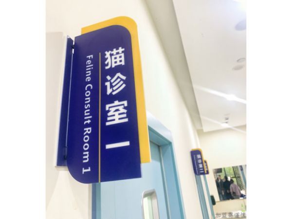 24小时营业宠物狗诊所超声波洁牙,宠物诊所连锁