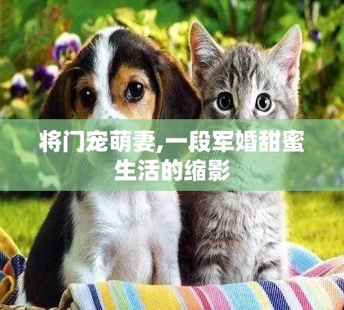 将门宠萌妻,一段军婚甜蜜生活的缩影