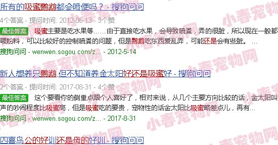 吸蜜鹦鹉公的好还是母的好