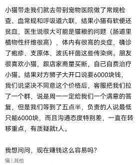 免费领养宠物，背后却是套路贷？