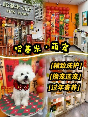 过年啦！带毛孩子一起去洗白白