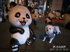 旅行大玩家萌宠乐园，与宠物共享美好时光