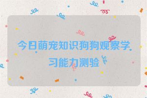 今日萌宠知识狗狗观察学习能力测验