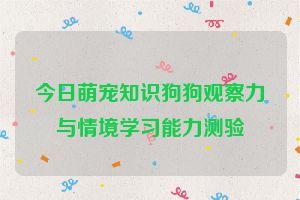今日萌宠知识狗狗观察力与情境学习能力测验