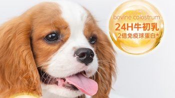 专为小狗狗和身体虚弱的狗子补充身体所需要的营养物质。红狗乳铁蛋白营养膏分享。