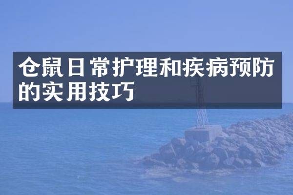仓鼠日常护理和疾病预防的实用技巧