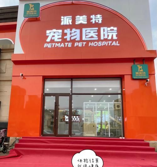 宠物体检的重要性（为宠物做体检，守护爱的生命）
