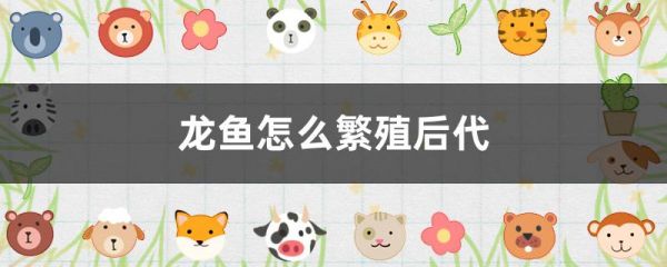 龙鱼怎么繁殖后代