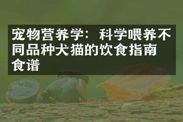 宠物营养学：科学喂养不同品种犬猫的饮食指南与食谱