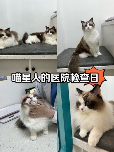 年度体检日～