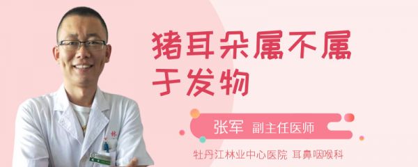 猪耳朵属不属于发物