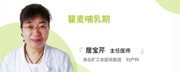 瞿麦哺乳期