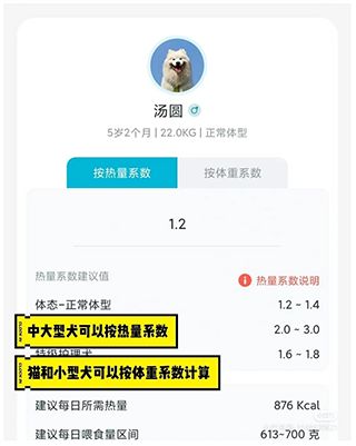 嗷呜猫狗食谱