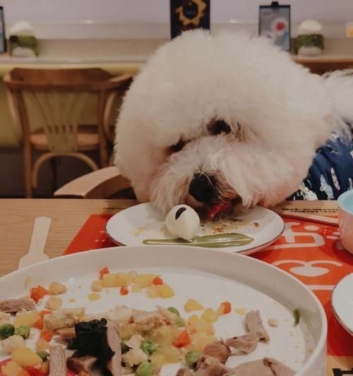 米饭宠物必备之狗种选择（以什么狗能吃米饭为主题的宠物饮食指南）
