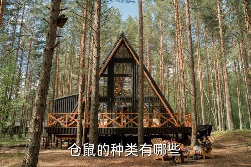 仓鼠的种类有哪些