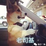 橙橙