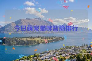 今日萌宠猫咪智商排行