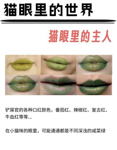 猫咪眼里的色彩好精彩