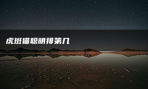 虎斑猫聪明排第几