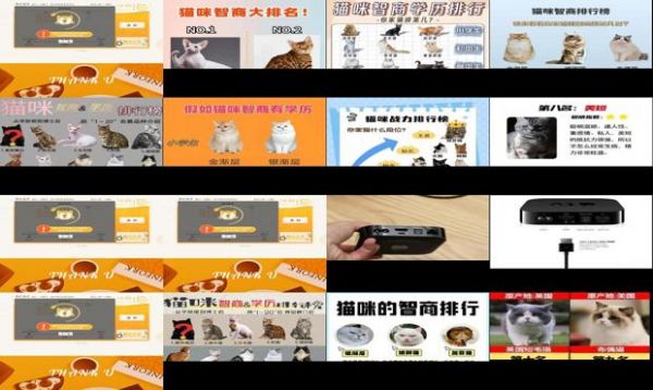 智商最高的猫十大排名