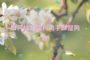 如何给宠物狗动手做湿狗粮