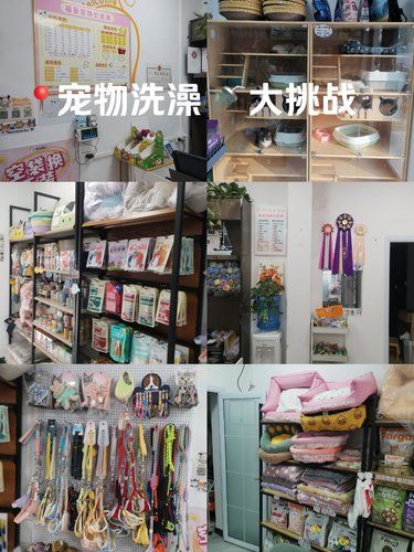 宠物洗澡大挑战