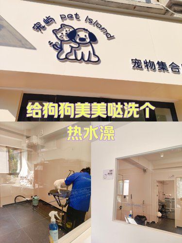 给狗狗美美哒！洗个澡吧[惊叹]